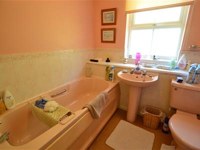 Picture 17